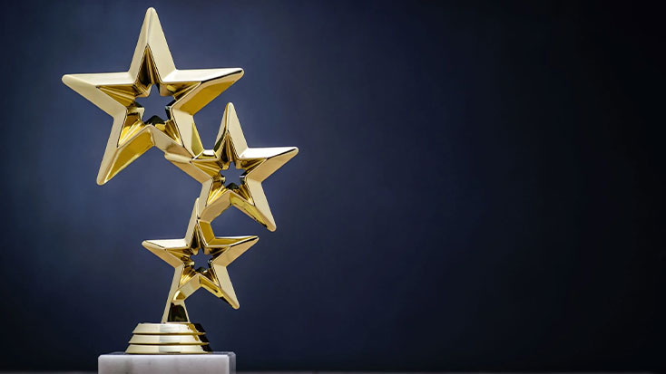 Excellence in Software